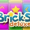 bricks deluxe 1