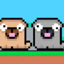 Friends Pug 9 friends pug 1