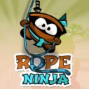 Rope Ninja Game 9 rope ninja game