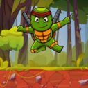 Turtle Ninja 2 turtle ninja
