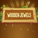 Wooden Jewels 7 wooden jewels 2